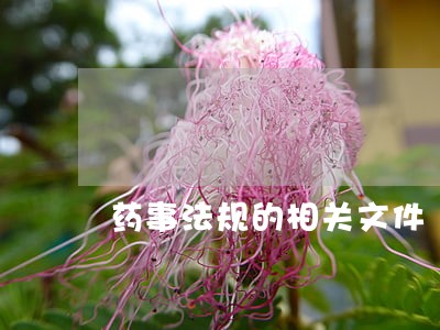 药事法规的相关文件 药事法规的相关文件