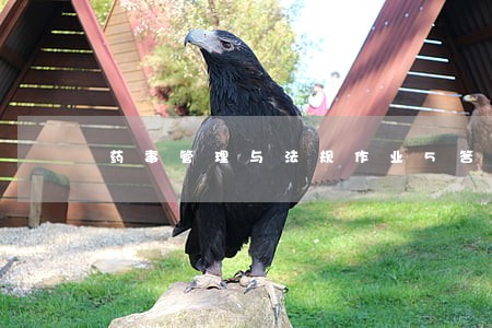 药事管理与法规作业5答案