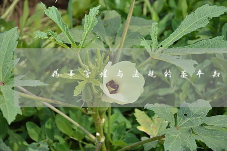 药事管理与法规的基本知识 药事管理与法规的基本知识