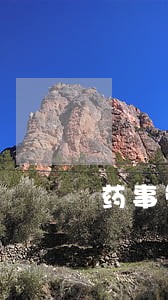 药事管理与法规网上看课