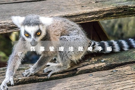 药事管理法规电子版 药事管理法规电子版
