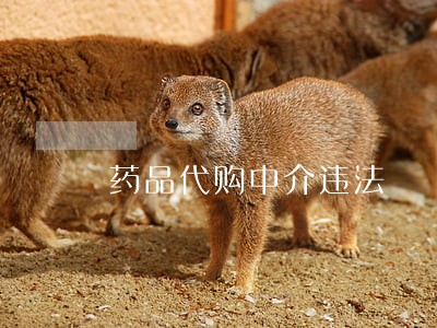 药品代购中介违法 药品代购中介违法