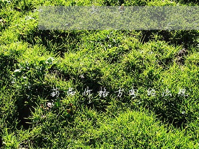 药品价格方面的法规 药品价格方面的法规