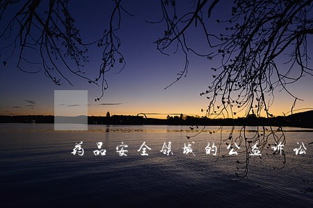 药品安全领域的公益诉讼案件 药品安全领域的公益诉讼案件