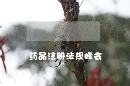 药品注册法规峰会 药品注册法规峰会