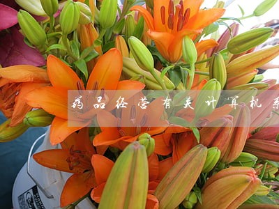 药品经营有关计算机系统法规