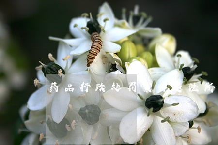 药品行政处罚案件违法所得认 药品行政处罚案件违法所得认