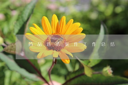 药品违法案件工作总结