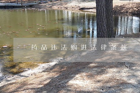 药品违法购进法律条款