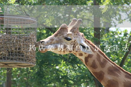 药店免费测血压是否违法
