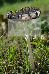 药店药品试吃违法吗 药店药品试吃违法吗