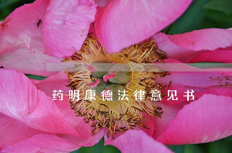 药明康德法律意见书 药明康德法律意见书