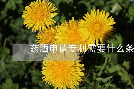 药酒申请专利需要什么条件 药酒申请专利需要什么条件