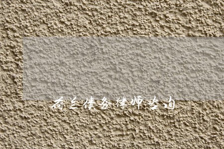 荷兰债务律师咨询 荷兰债务律师咨询