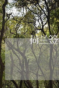 荷兰签证逾期一天