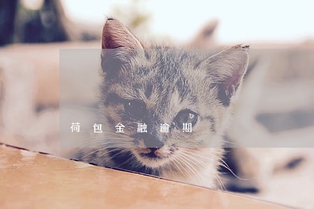 荷包金融逾期