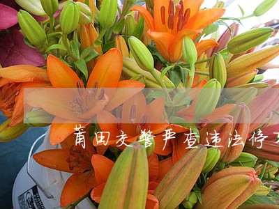 莆田交警严查违法停车