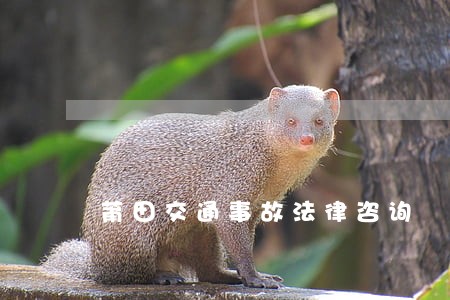 莆田交通事故法律咨询 莆田交通事故法律咨询