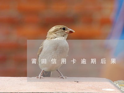 莆田信用卡逾期后果 莆田信用卡逾期后果