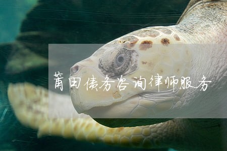 莆田债务咨询律师服务 莆田债务咨询律师服务