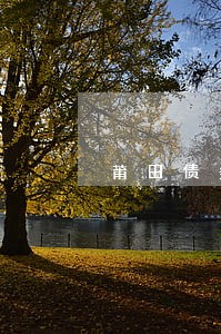 莆田债务律师团队 莆田债务律师团队