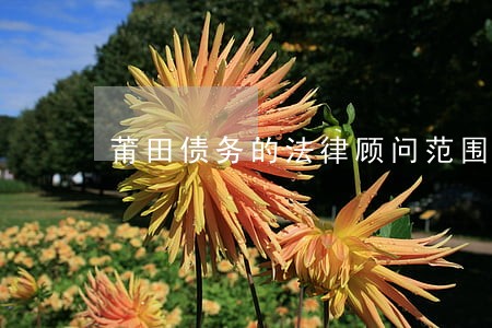 莆田债务的法律顾问范围 莆田债务的法律顾问范围