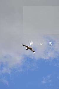 莆田农商银行逾期多久会上征信 莆田农商银行逾期多久会上征信