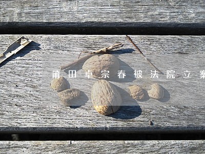 莆田卓宗春被法院立案 莆田卓宗春被法院立案