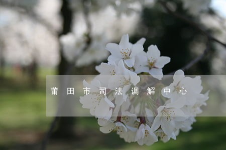 莆田市司法调解中心 莆田市司法调解中心