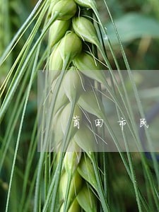 莆田市民法律援助电话 莆田市民法律援助电话