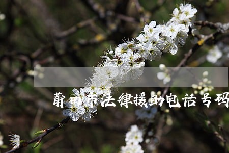 莆田市法律援助电话号码 莆田市法律援助电话号码