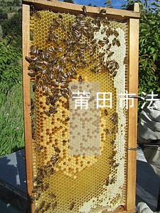 莆田市法院什么时候上班 莆田市法院什么时候上班