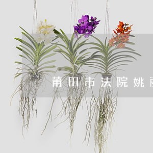 莆田市法院姚丽清 莆田市法院姚丽清
