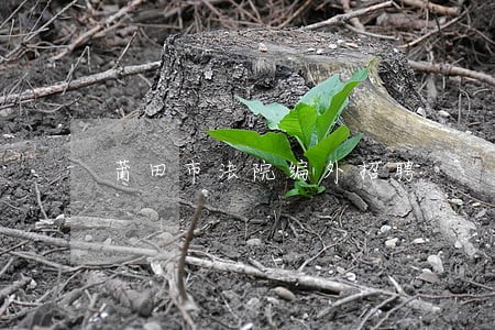 莆田市法院编外招聘 莆田市法院编外招聘