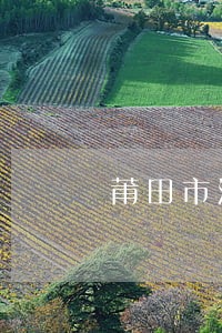 莆田市法院翁果山 莆田市法院翁果山