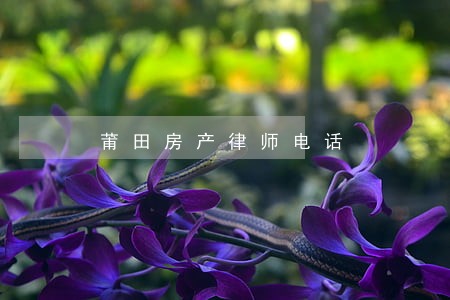 莆田房产律师电话 莆田房产律师电话