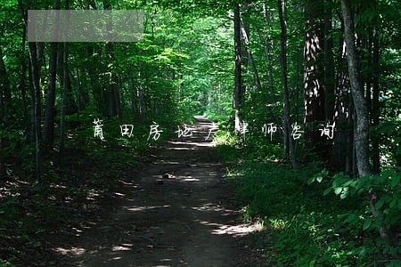 莆田房地产律师咨询 莆田房地产律师咨询