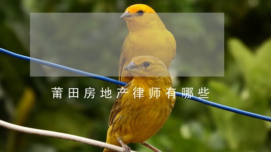 莆田房地产律师有哪些 莆田房地产律师有哪些