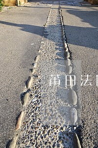 莆田法院什么霖