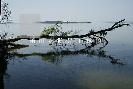 莆田法院是干嘛的 莆田法院是干嘛的