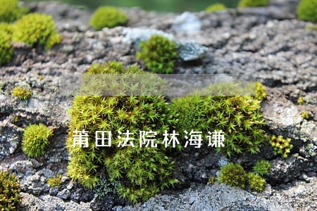莆田法院林海谦