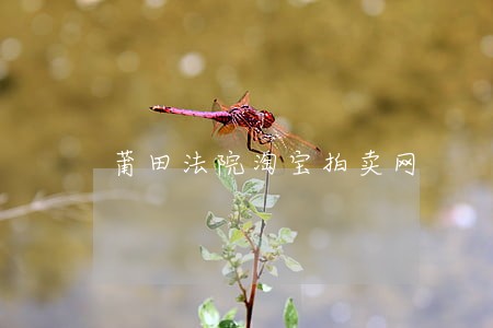 莆田法院淘宝拍卖网 莆田法院淘宝拍卖网