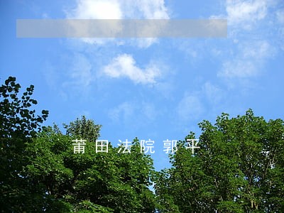 莆田法院郭平 莆田法院郭平