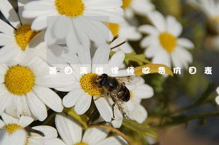 莆田离婚律师收费价目表 莆田离婚律师收费价目表