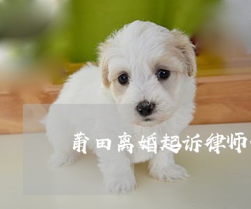 莆田离婚起诉律师代理 莆田离婚起诉律师代理