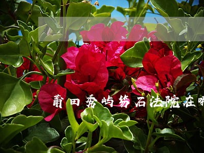 莆田秀屿笏石法院在哪儿