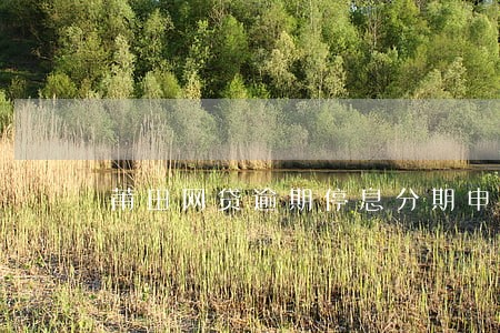莆田网贷逾期停息分期申请条件 莆田网贷逾期停息分期申请条件