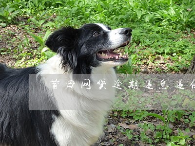 莆田网贷逾期退息退保服务费用 莆田网贷逾期退息退保服务费用