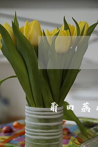 莆田荔城区法院在哪里