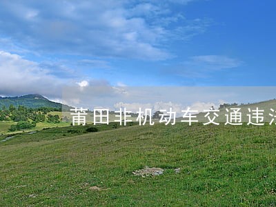 莆田非机动车交通违法数据库